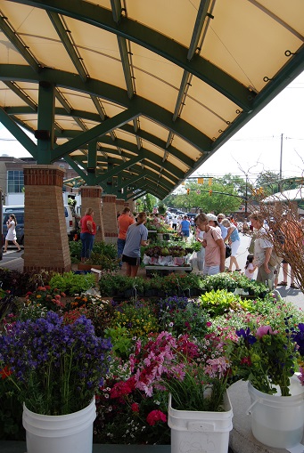 Farmers Market